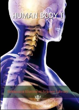Human Body I